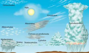 Co to zjawiska pogodowe? Rodzaje, mechanizmy i wpływ na Polskę.