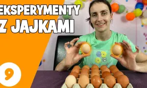 Eksperymenty z jajkiem: Odkryj chemię i fizykę przez zabawę!