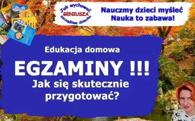 Edukacja domowa w technikum: Jak zdać egzaminy i zdobyć zawód?