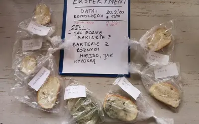Eksperyment z chlebem: Niewidzialne zarazki i potęga higieny rąk
