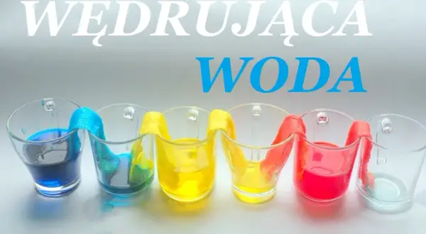 Eksperymenty z wodą dla dzieci: Magia nauki w domu!