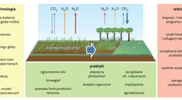 Jak klimat wpływa na rolnictwo? Wyzwania, szanse i adaptacja