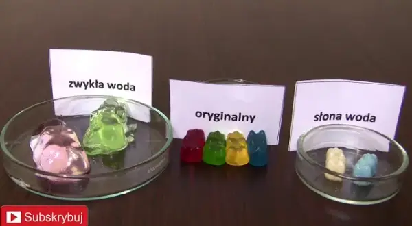 Jak żelki rosną? Eksperyment z osmozą dla dzieci prosty przewodnik