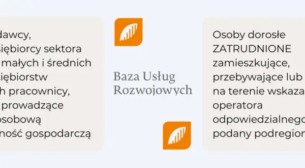 Baza Usług Rozwojowych: Jak zdobyć dofinansowanie krok po kroku?