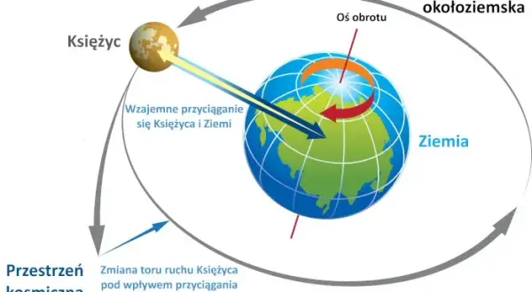 Czy grawitacja to tylko ziemski fenomen? Poznaj kosmiczną prawdę