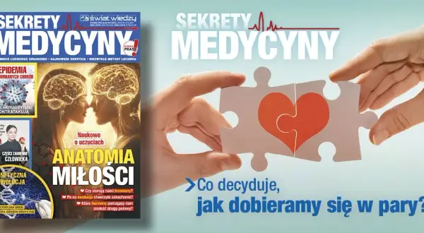 Sekrety raportu z eksperymentu: Zdobądź 5! Kompletny przewodnik